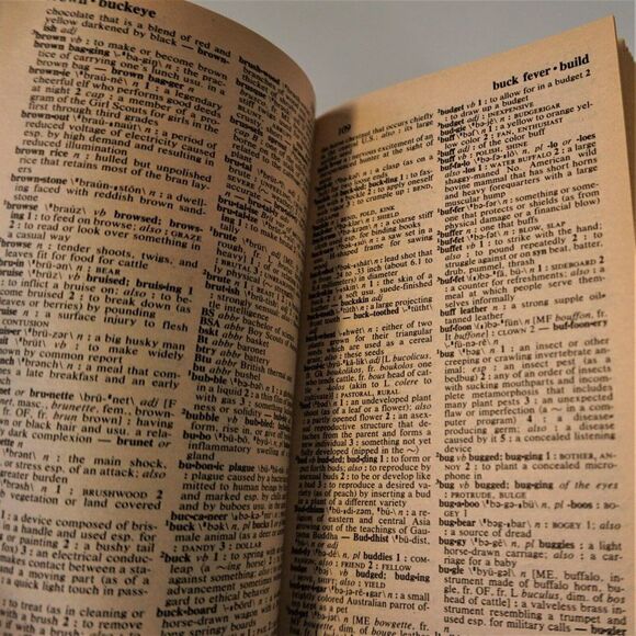 Merriam-Webster Dictionary 1997 Paperback - Picture 7 of 8